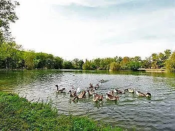 De L'etang Bleu Hotel Vieux-Mareuil